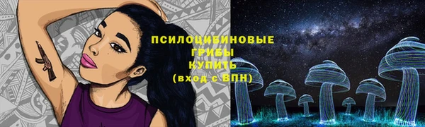герыч Россошь