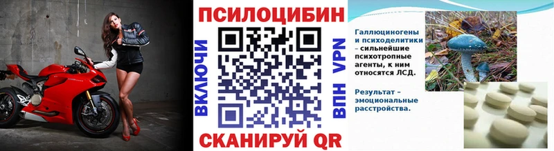 купить   Севск  Галлюциногенные грибы Psilocybe 